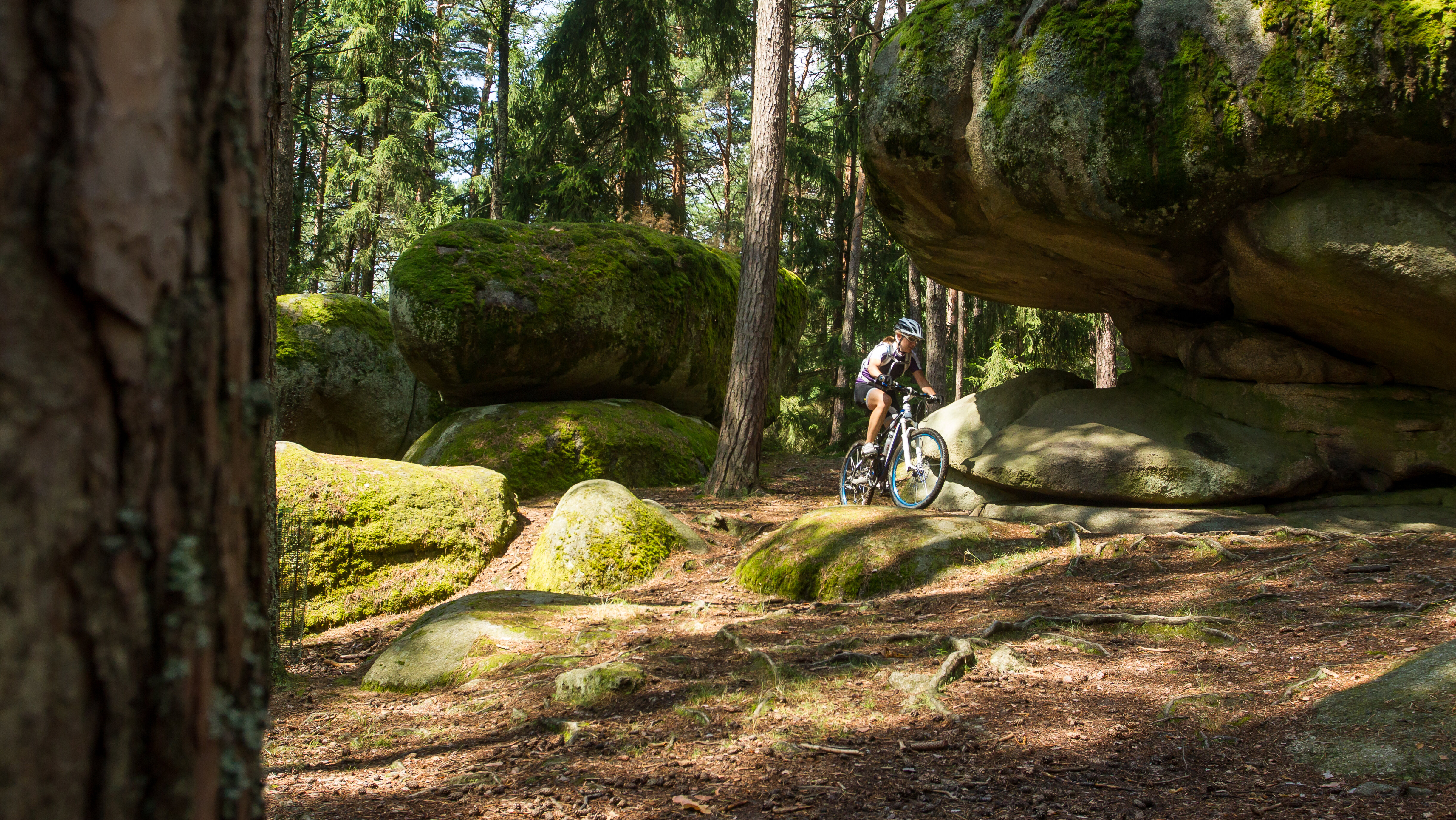 Mountainbiken in Bad Traunstein (c) Erwin Haiden