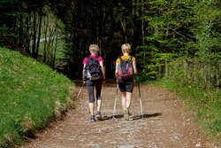 Nordic Walking–Gruppe startet wieder!